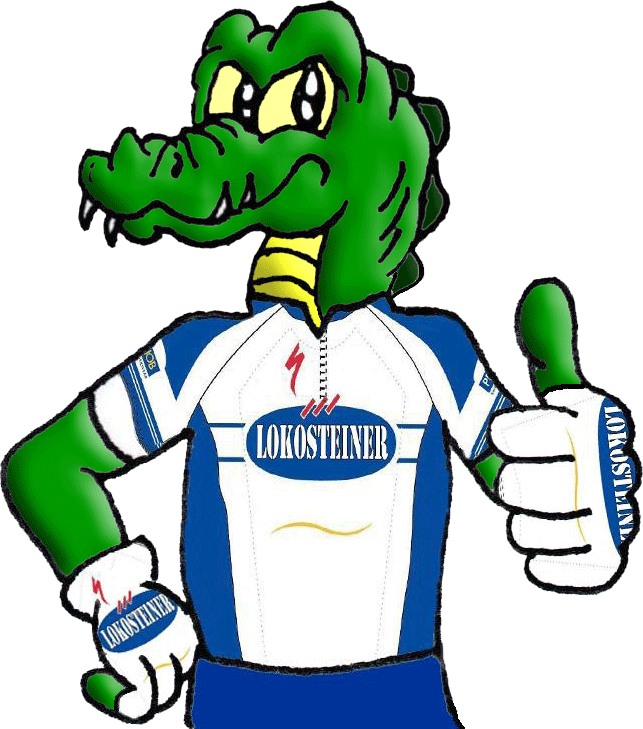 Lokosteiner