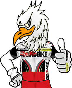 Risiko Bike