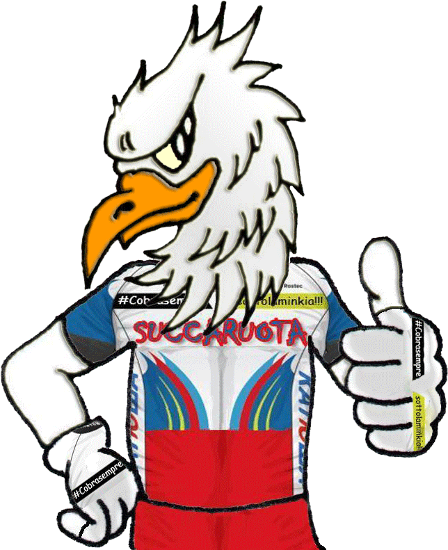 Succaruota