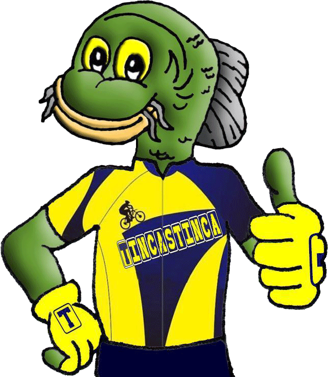 Tincastinca